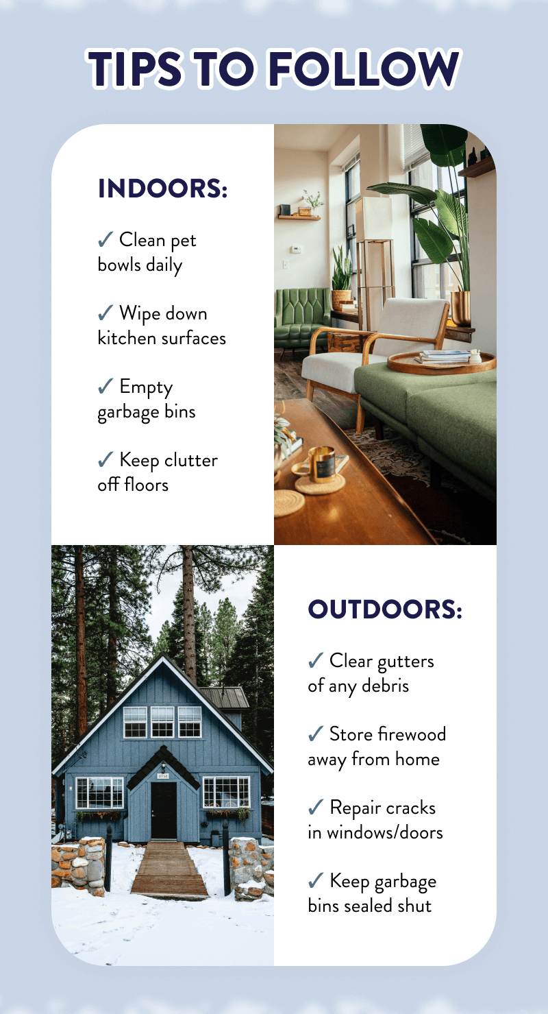 Tips to Follow  Indoors: - Clean pet bowls daily - Wipe down kitchen surfaces - Empty garbage bins - Keep clutter off floors  Outdoors: - Clear gutters of any debris - Store firewood away from home - Repair cracks in windows/doors - Keep garbage bins sealed shut