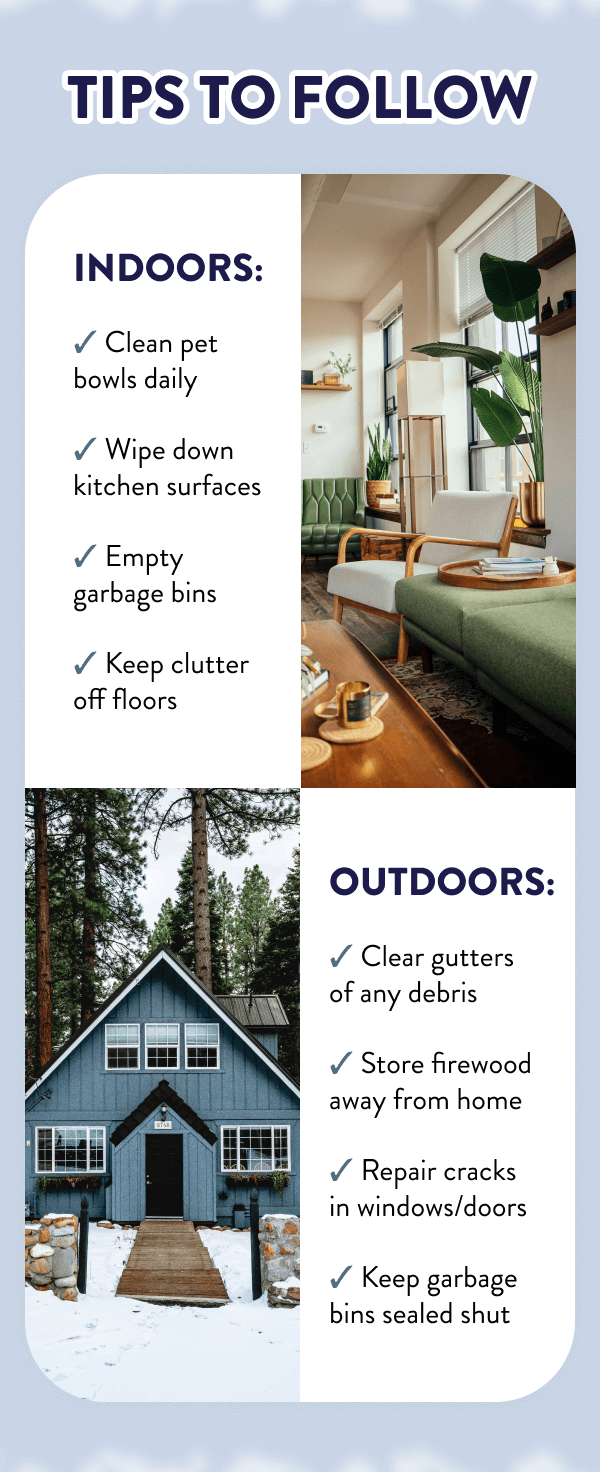 Tips to Follow Indoors: - Clean pet bowls daily - Wipe down kitchen surfaces - Empty garbage bins - Keep clutter off floors Outdoors: - Clear gutters of any debris - Store firewood away from home - Repair cracks in windows/doors - Keep garbage bins sealed shut