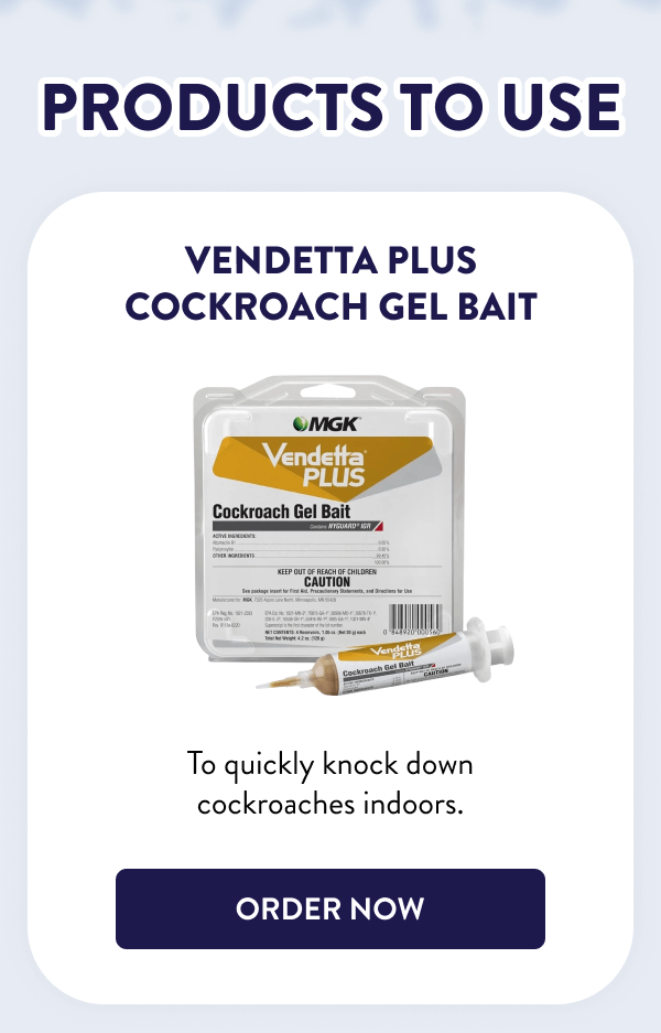 Products to Use Vendetta Plus Cockroach Gel Bait To quickly knock down cockroaches indoors. [SHOP NOW]