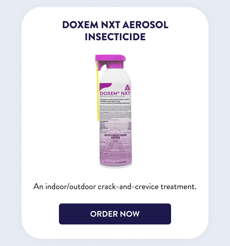Doxem NXT Aerosol Insecticide  An indoor/outdoor crack-and-crevice treatment.  [SHOP NOW]