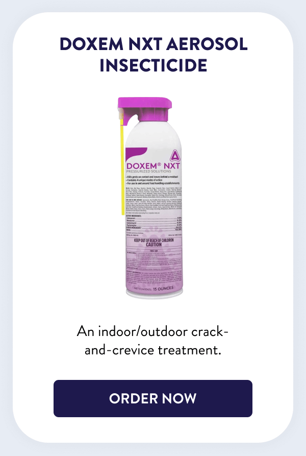 Doxem NXT Aerosol Insecticide An indoor/outdoor crack-and-crevice treatment. [SHOP NOW]