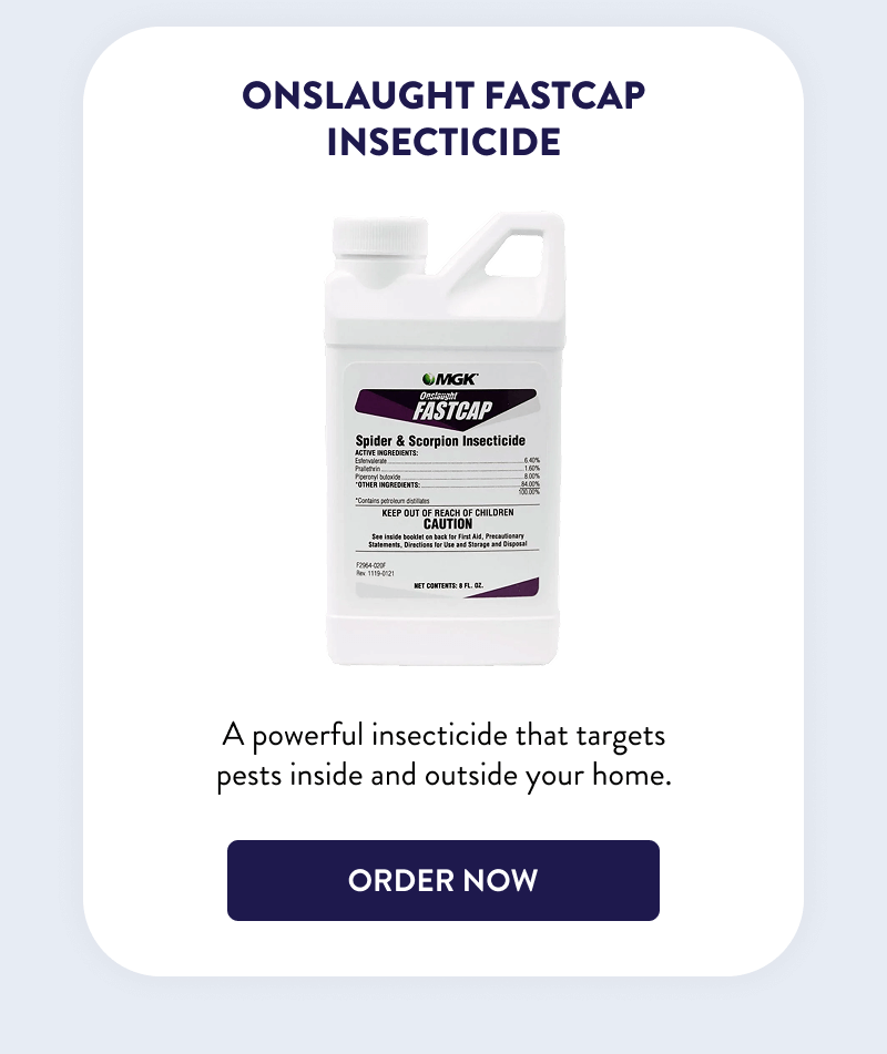 Onslaught FastCap Insecticide  A powerful insecticide that targets pests inside and outside your home.  [SHOP NOW]