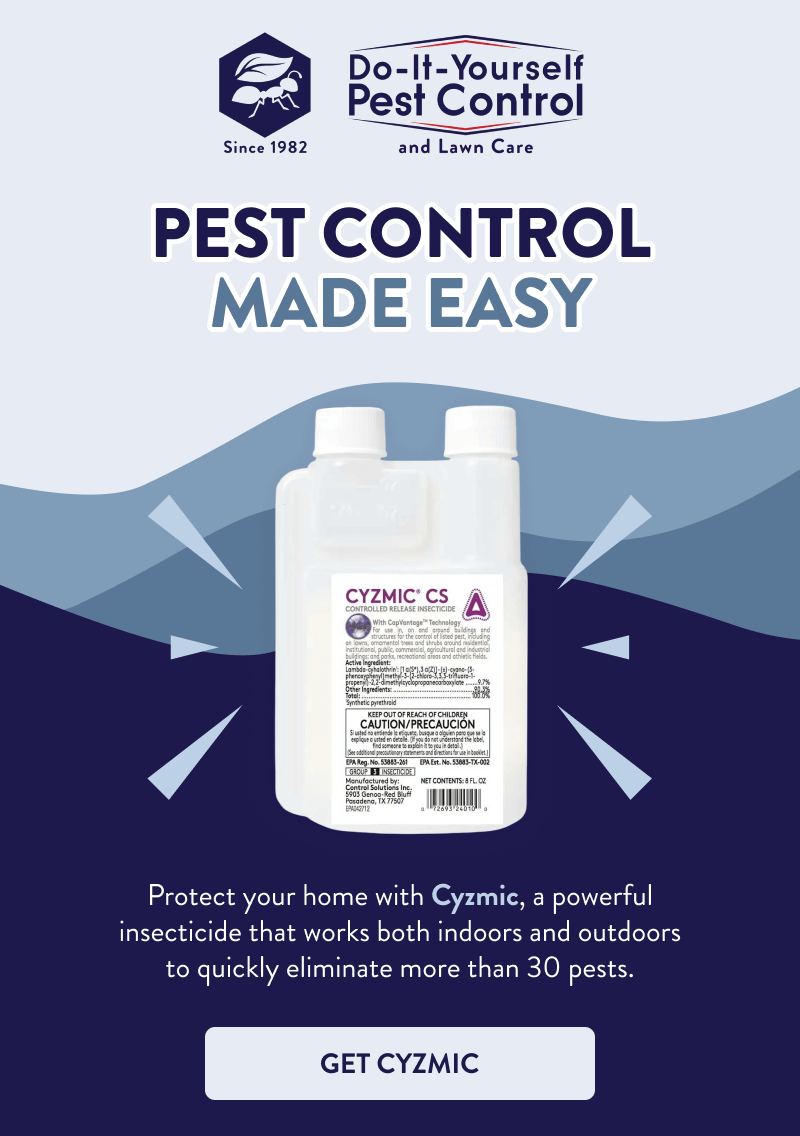 Pest Control Made Easy  Protect your home with Cyzmic, a powerful insecticide that works both indoors and outdoors to quickly eliminate more than 30 pests.  [GET CYZMIC]