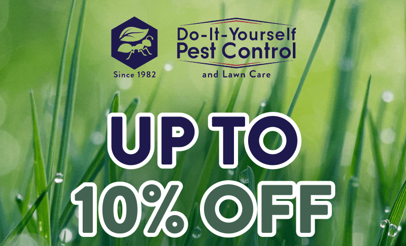 Up to 10% Off