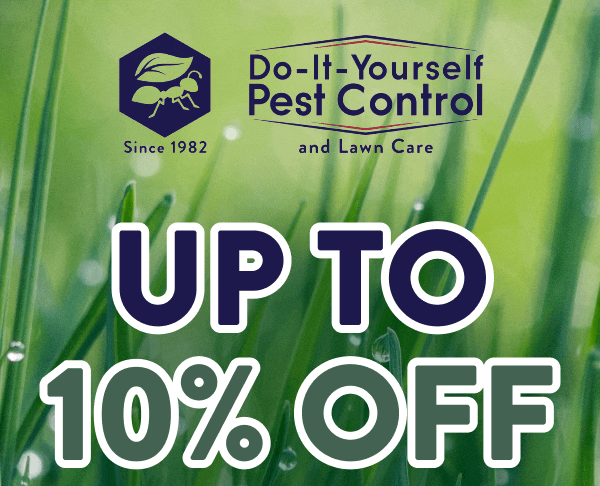 Up to 10% Off