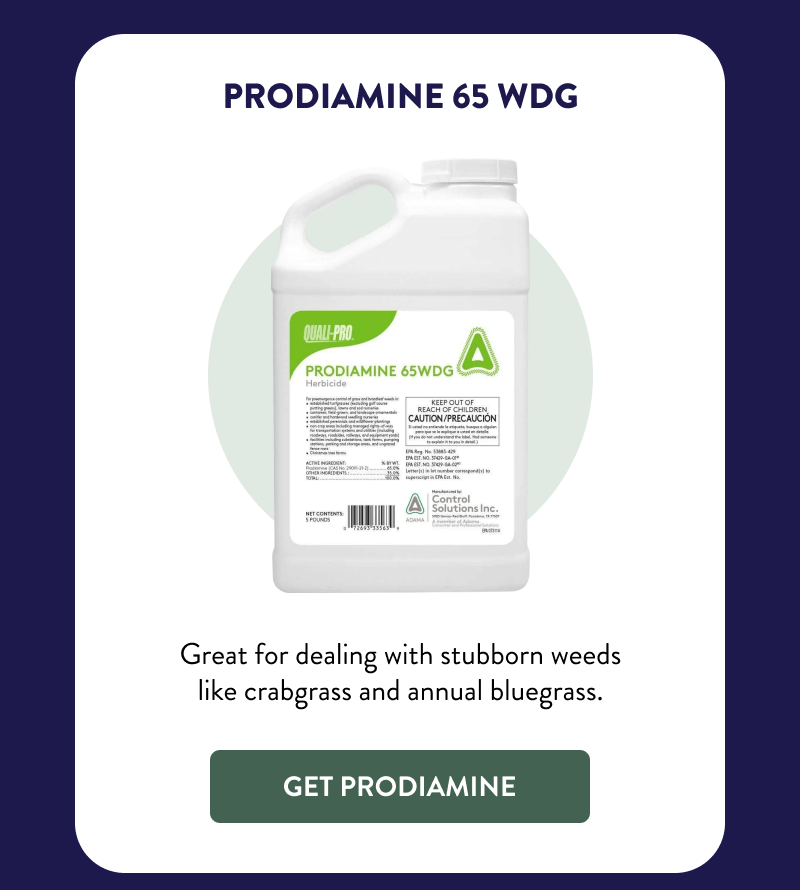 Prodiamine 65 WDG  Great for dealing with stubborn weeds like crabgrass and annual bluegrass.  [GET PRODIAMINE]