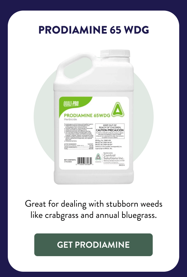 Prodiamine 65 WDG Great for dealing with stubborn weeds like crabgrass and annual bluegrass. [GET PRODIAMINE]