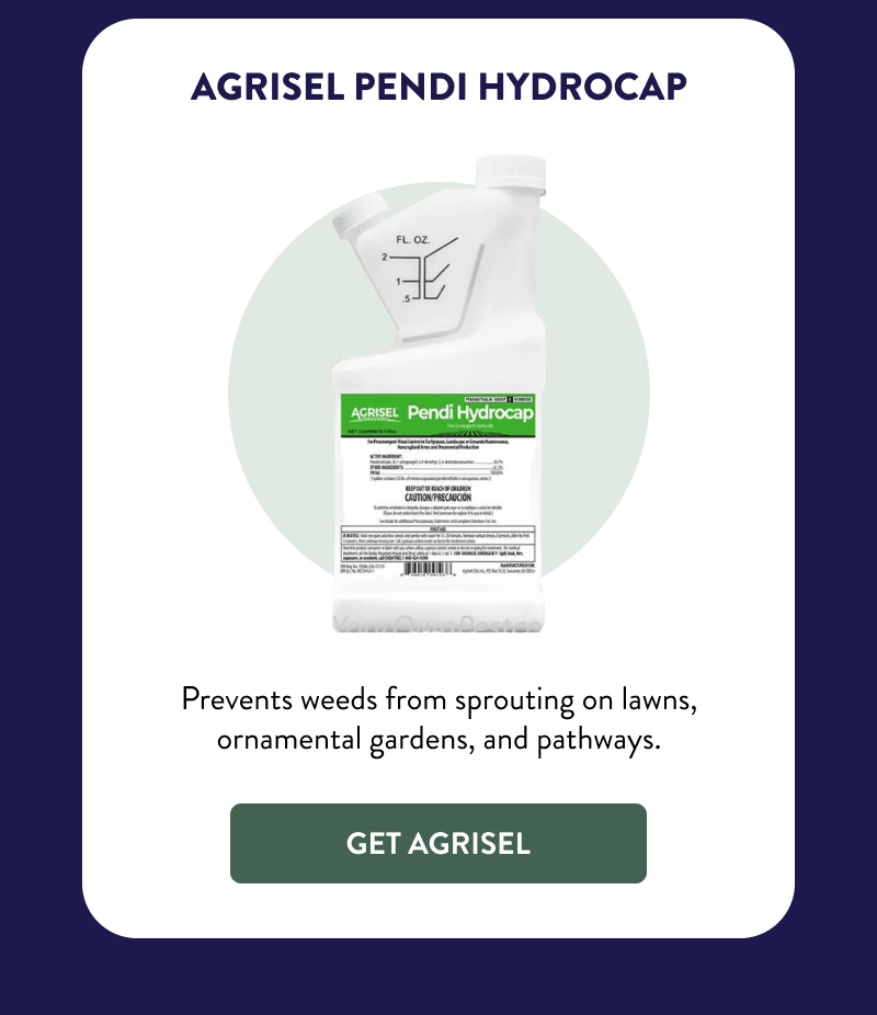 Agrisel Pendi Hydrocap  Prevents weeds from sprouting on lawns, ornamental gardens, and pathways.  [GET AGRISEL]
