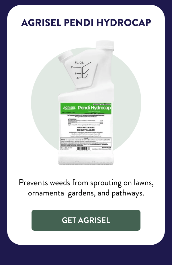 Agrisel Pendi Hydrocap Prevents weeds from sprouting on lawns, ornamental gardens, and pathways. [GET AGRISEL]