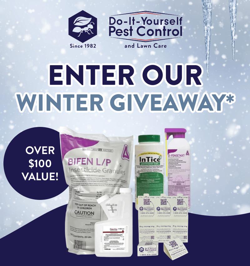 Enter Our Winter Giveaway* Over $100 value!