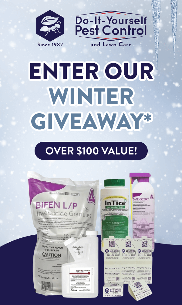 Enter Our Winter Giveaway* Over $100 value!