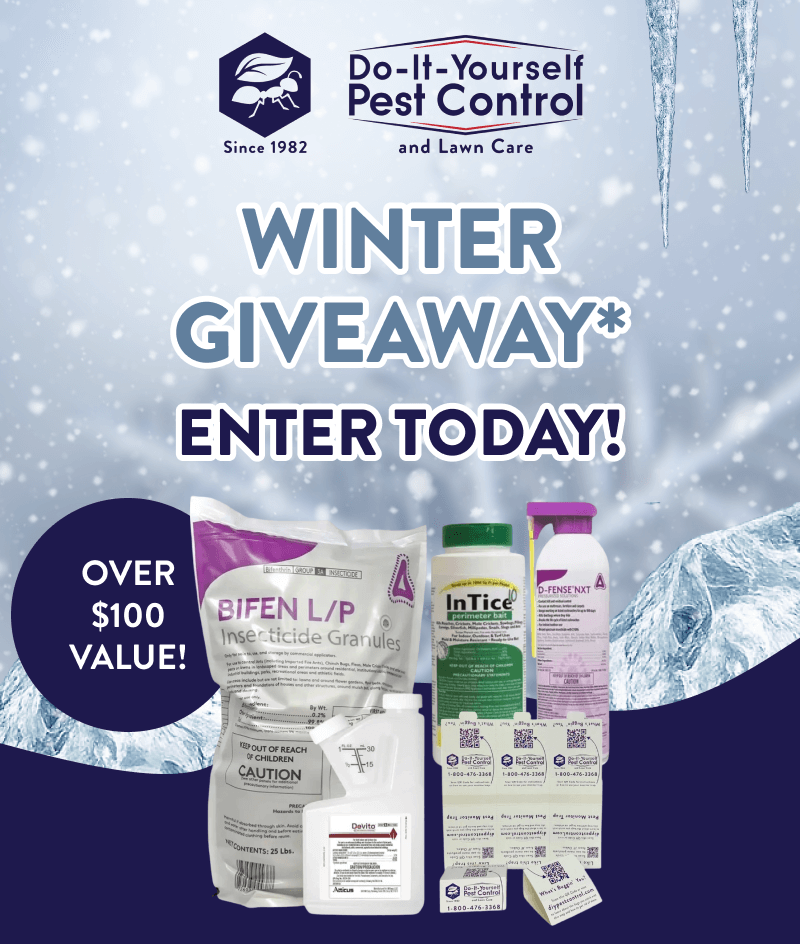 Winter Giveaway* Enter Today! Over $100 value!