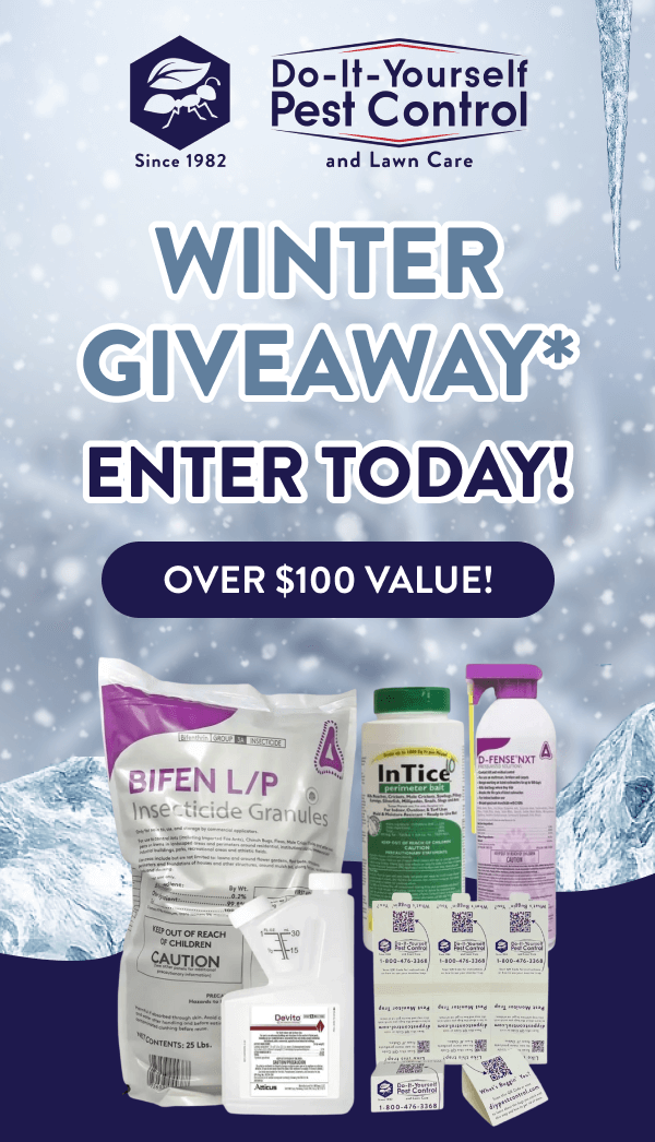 Winter Giveaway* Enter Today! Over $100 value!