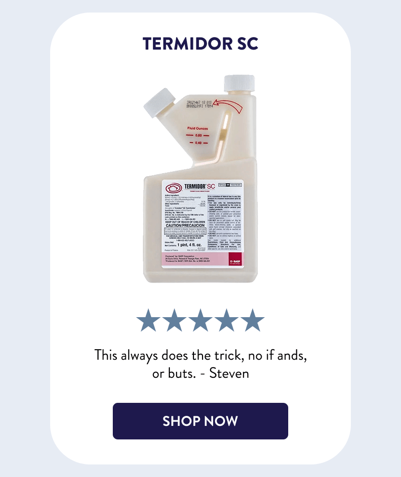 Termidor SC  This always does the trick, no if ands, or buts. - Steven  [SHOP NOW]