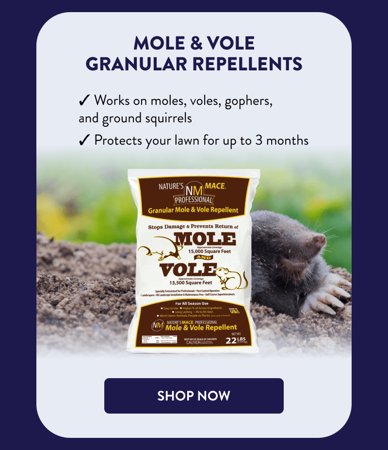 Mole & Vole Granular Repellents  ✔ Works on moles, voles, gophers, and ground squirrels  ✔ Protects your lawn for up to 3 months  [SHOP NOW]
