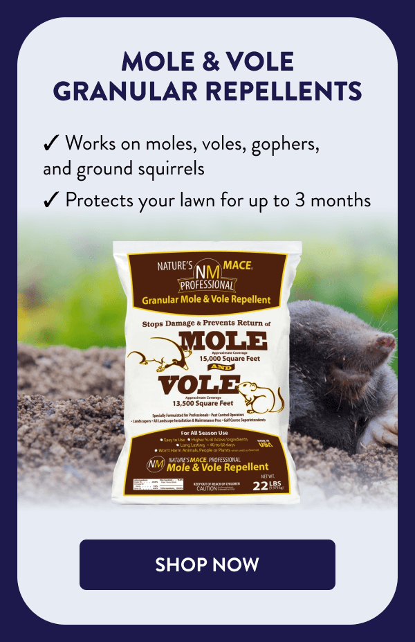Mole & Vole Granular Repellents ✔ Works on moles, voles, gophers, and ground squirrels ✔ Protects your lawn for up to 3 months [SHOP NOW]