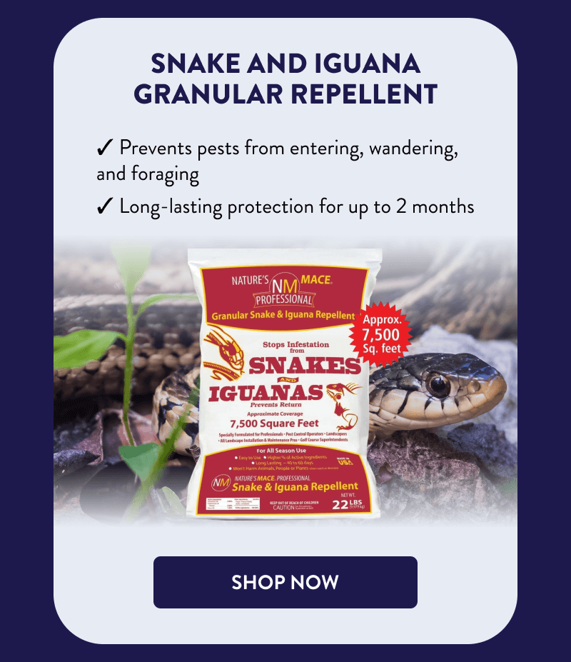 Snake and Iguana Granular Repellent  ✔ Prevents pests from entering, wandering, and foraging ✔ Long-lasting protection for up to 2 months  [SHOP NOW]