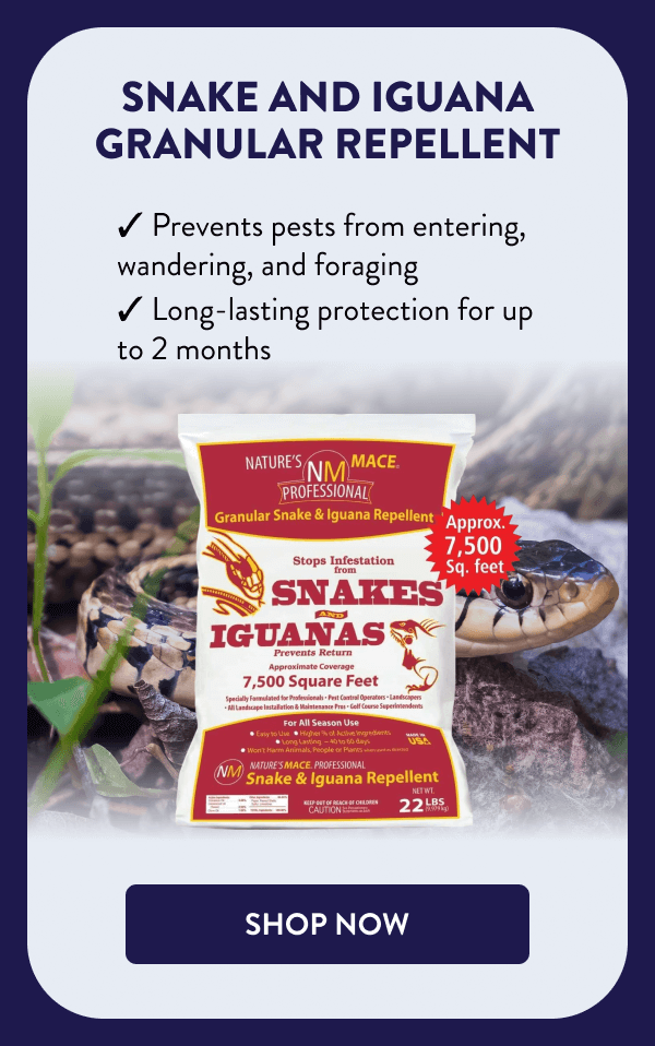 Snake and Iguana Granular Repellent ✔ Prevents pests from entering, wandering, and foraging ✔ Long-lasting protection for up to 2 months [SHOP NOW]