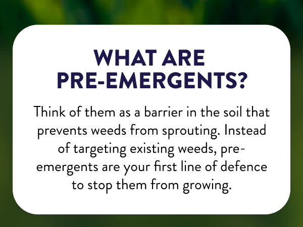 What Are Pre-Emergents? Think of them as a barrier in the soil that prevents weeds from sprouting. Instead of targeting existing weeds, pre-emergents are your first line of defence to stop them from growing.