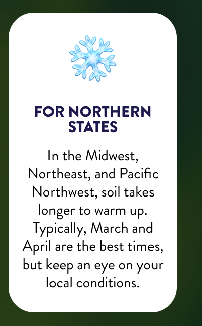 ❄️ For Northern States  In the Midwest, Northeast, and Pacific Northwest, soil takes longer to warm up. Typically, March and April are the best times, but keep an eye on your local conditions.