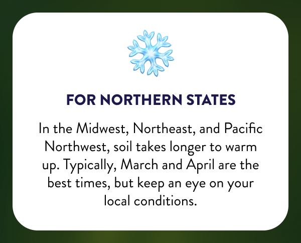 ❄️ For Northern States In the Midwest, Northeast, and Pacific Northwest, soil takes longer to warm up. Typically, March and April are the best times, but keep an eye on your local conditions.