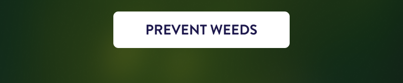 [PREVENT WEEDS]