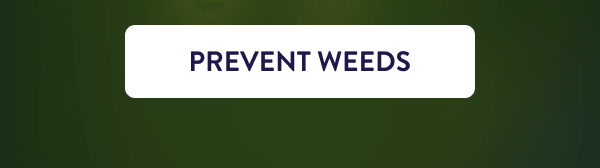 [PREVENT WEEDS]