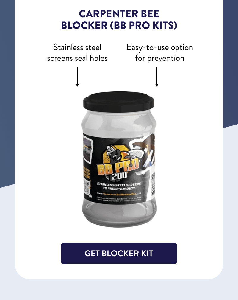 Carpenter Bee Blocker (BB Pro Kits)  ↷ Stainless steel screens seal holes ↷ Easy-to-use option for prevention  [GET BLOCKER KIT]