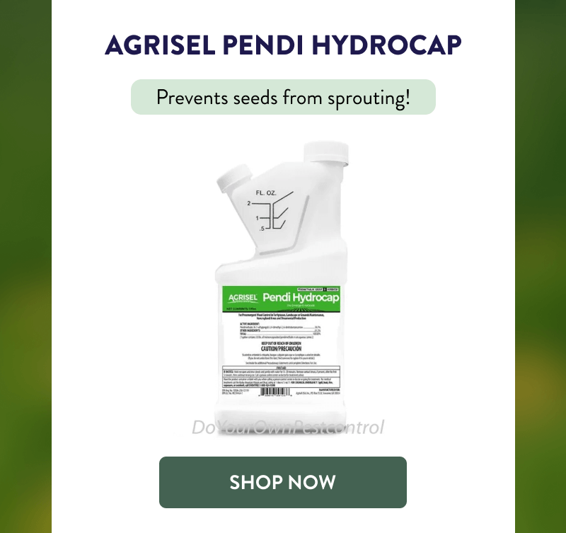 Agrisel Pendi Hydrocap  Prevents seeds from sprouting!  [SHOP NOW]
