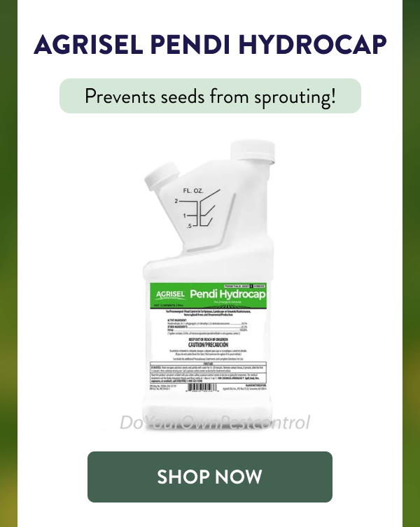 Agrisel Pendi Hydrocap Prevents seeds from sprouting! [SHOP NOW]