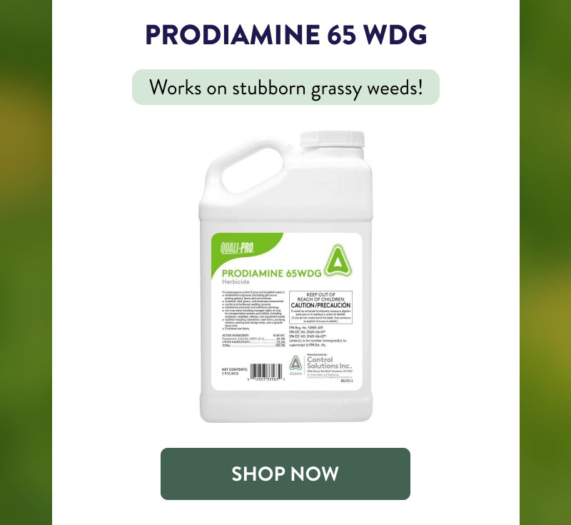 Prodiamine 65 WDG  Works on stubborn grassy weeds!  [SHOP NOW]