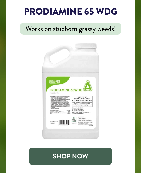 Prodiamine 65 WDG Works on stubborn grassy weeds! [SHOP NOW]