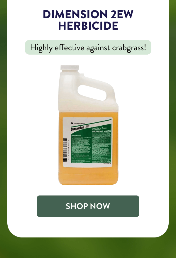 Dimension 2EW Herbicide Highly effective against crabgrass! [SHOP NOW]