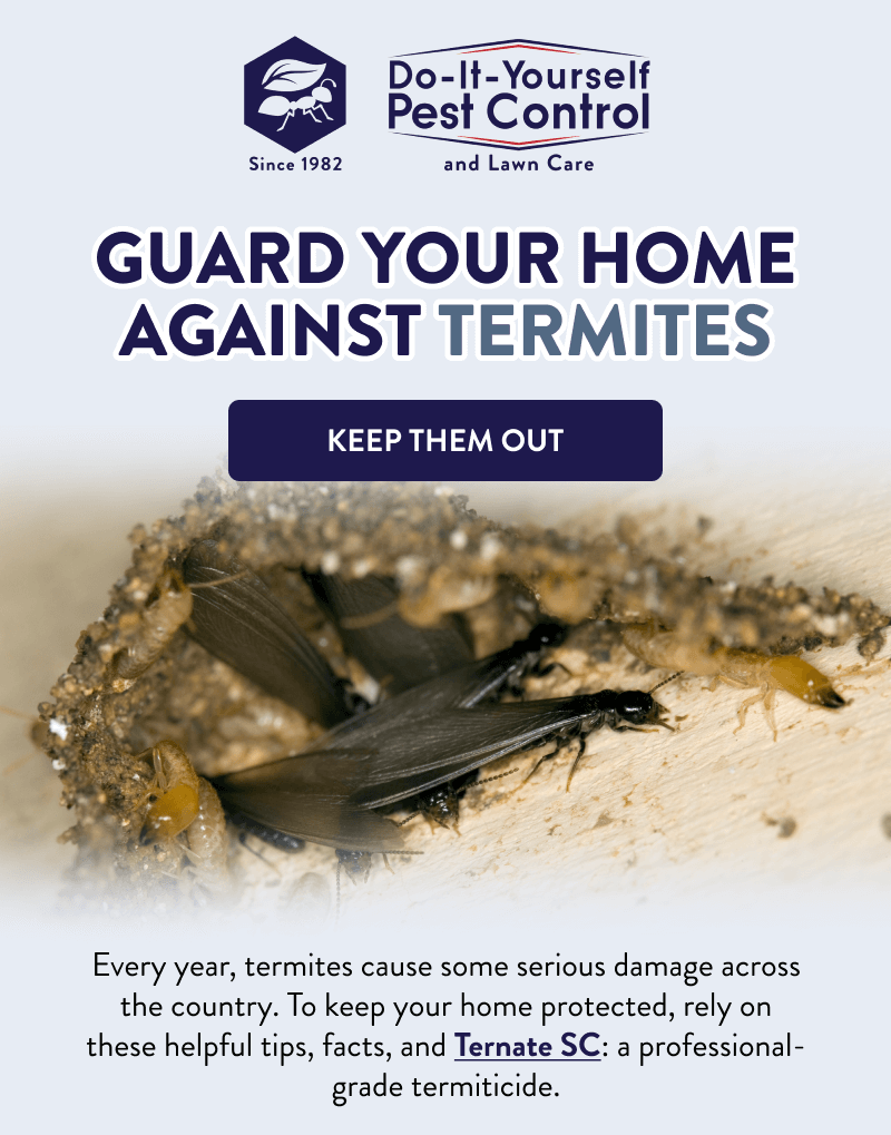Guard Your Home Against Termites  [KEEP THEM OUT]  Every year, termites cause some serious damage across the country. To keep your home protected, rely on these helpful tips, facts, and Ternate SC: a professional-grade termiticide.