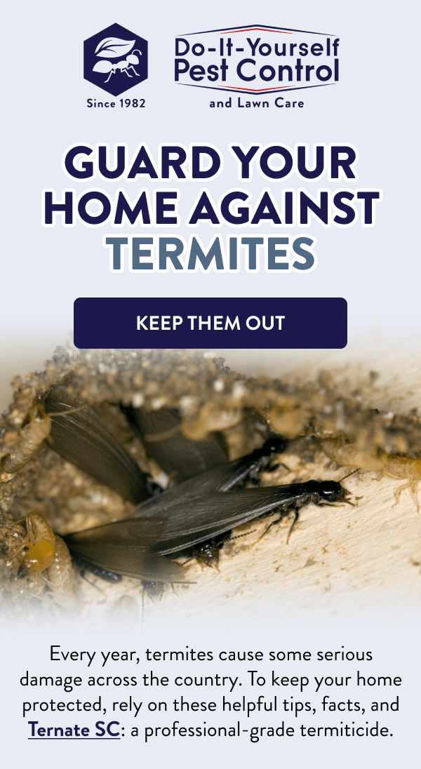Guard Your Home Against Termites [KEEP THEM OUT] Every year, termites cause some serious damage across the country. To keep your home protected, rely on these helpful tips, facts, and Ternate SC: a professional-grade termiticide.