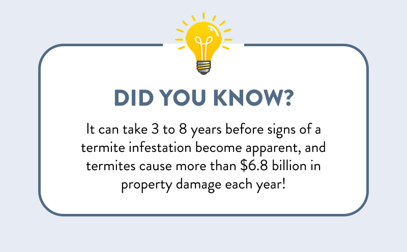 Did You Know? It can take 3 to 8 years before signs of a termite infestation become apparent, and termites cause more than $6.8 billion in property damage each year!