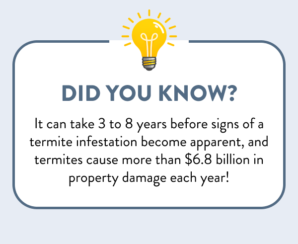 Did You Know? It can take 3 to 8 years before signs of a termite infestation become apparent, and termites cause more than $6.8 billion in property damage each year!