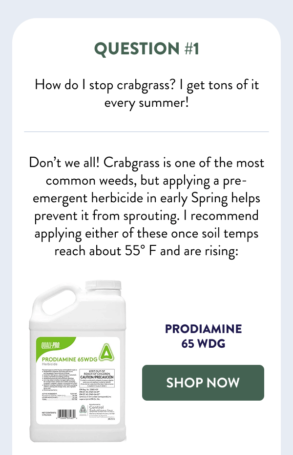 Question #1 How do I stop crabgrass? I get tons of it every summer! Don’t we all! Crabgrass is one of the most common weeds, but applying a pre-emergent herbicide in early Spring helps prevent it from sprouting. I recommend applying either of these once soil temps reach about 55° F and are rising: [SHOP PRODIAMINE]