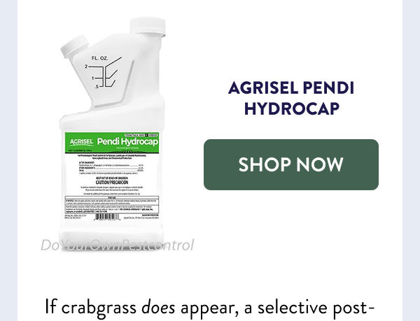 [SHOP AGRISEL]