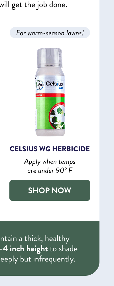 For warm-season lawns!  Apply when temps are under 90° F  [SHOP CELSIUS]  Ken’s Pro Tip: To maintain a thick, healthy lawn, try mowing at a 3-4 inch height to shade the soil, and watering deeply but infrequently.