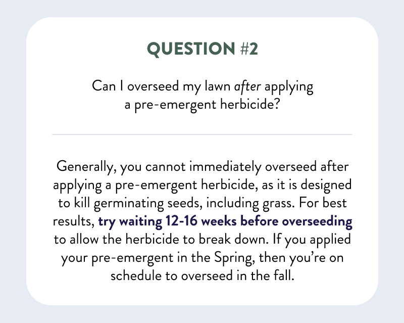 Question #2  Can I overseed my lawn after applying a pre-emergent herbicide?  Generally, you cannot immediately overseed after applying a pre-emergent herbicide, as it is designed to kill germinating seeds, including grass. For best results, try waiting 12-16 weeks before overseeding to allow the herbicide to break down. If you applied your pre-emergent in the Spring, then you’re on schedule to overseed in the fall.