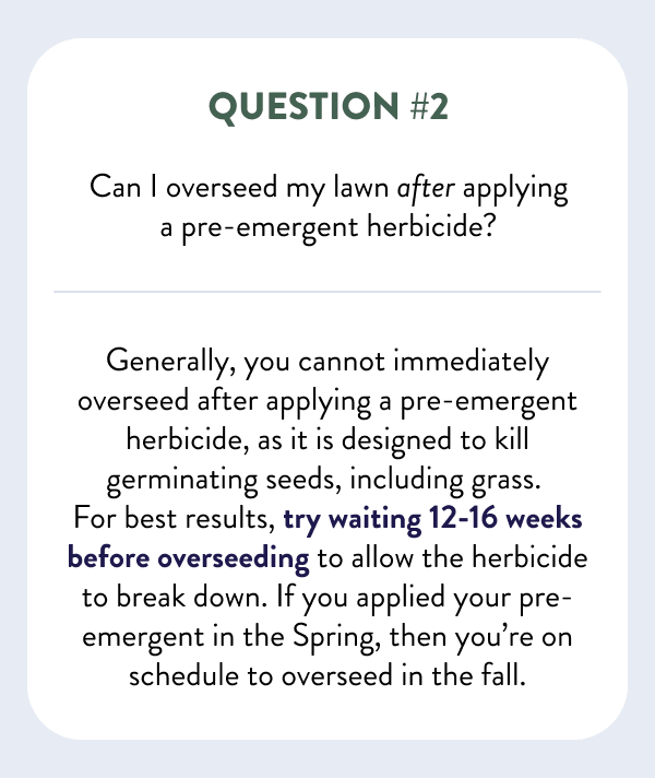 Question #2 Can I overseed my lawn after applying a pre-emergent herbicide? Generally, you cannot immediately overseed after applying a pre-emergent herbicide, as it is designed to kill germinating seeds, including grass. For best results, try waiting 12-16 weeks before overseeding to allow the herbicide to break down. If you applied your pre-emergent in the Spring, then you’re on schedule to overseed in the fall.