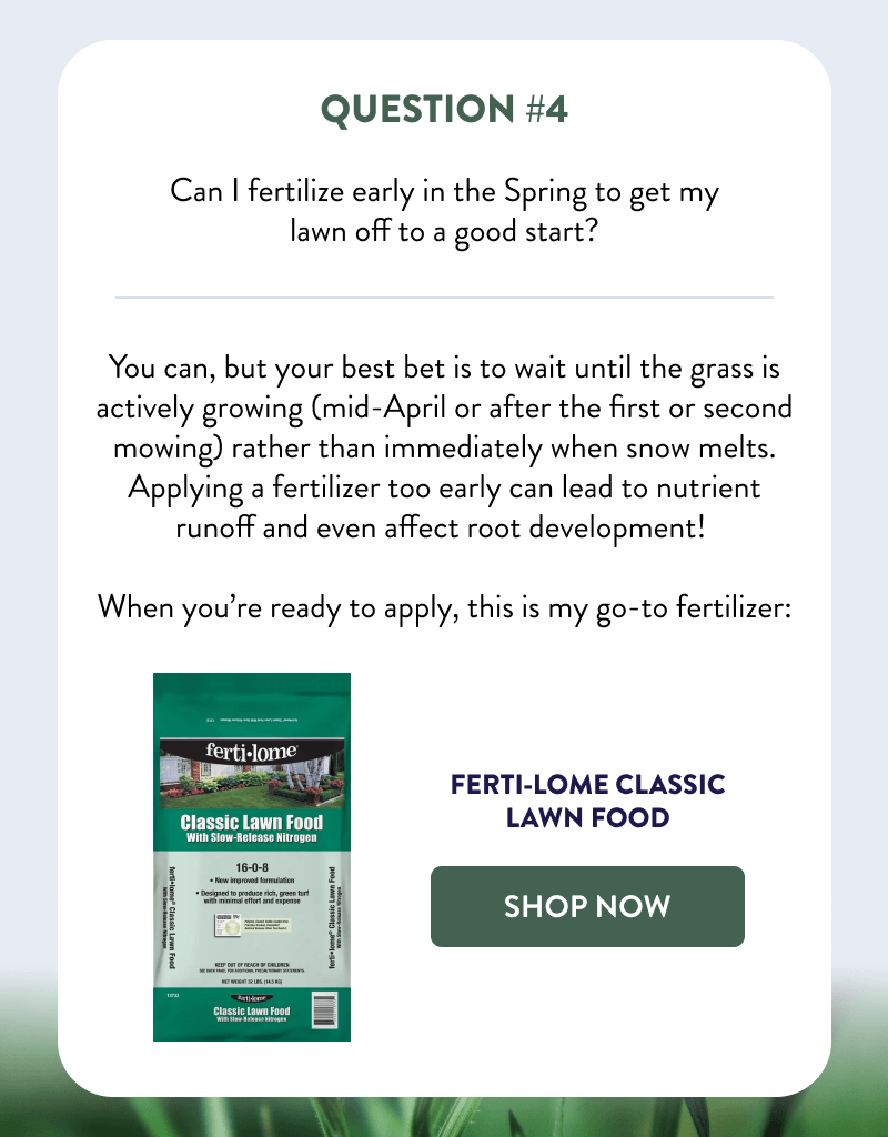 Question #4  Can I fertilize early in the Spring to get my lawn off to a good start?  You can, but your best bet is to wait until the grass is actively growing (mid-April or after the first or second mowing) rather than immediately when snow melts. Applying a fertilizer too early can lead to nutrient runoff and even affect root development!   When you’re ready to apply, this is my go-to fertilizer:  [SHOP FERTI-LOME]
