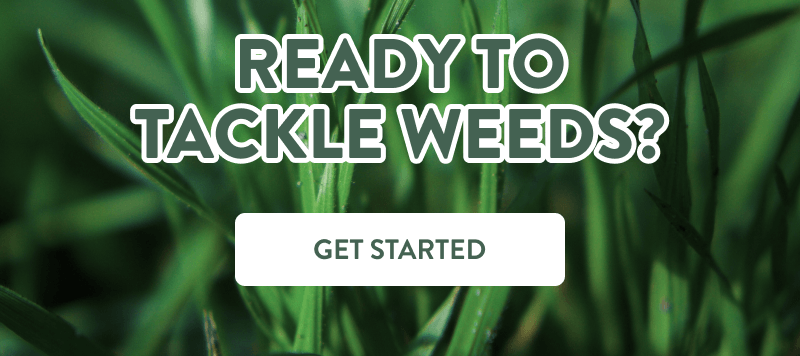 Ready to Tackle Weeds?  [GET STARTED]