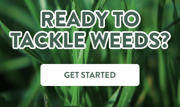 Ready to Tackle Weeds? [GET STARTED]