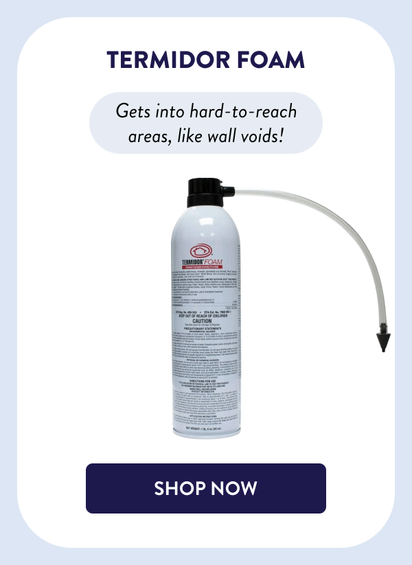 Termidor Foam Gets into hard-to-reach areas, like wall voids! [SHOP NOW]