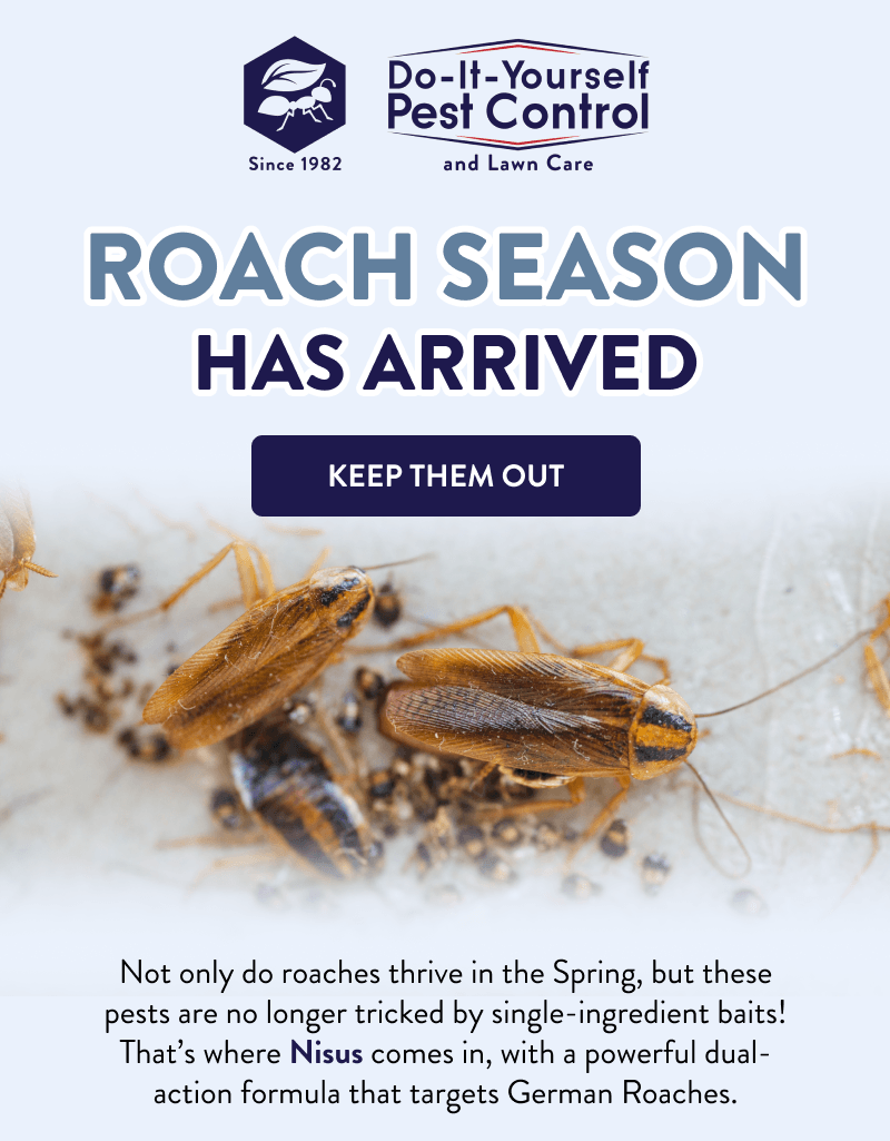 Roach Season Has Arrived  [KEEP THEM OUT]  Not only do roaches thrive in the Spring, but these pests are no longer tricked by single-ingredient baits! That’s where Nisus comes in, with a powerful dual-action formula that targets German Roaches.