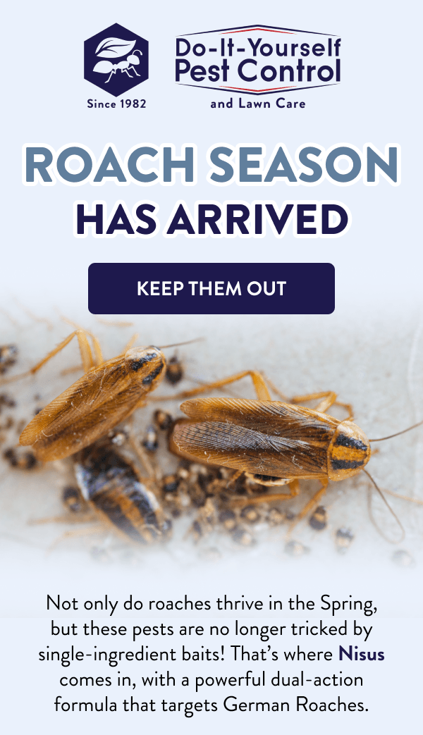 Roach Season Has Arrived [KEEP THEM OUT] Not only do roaches thrive in the Spring, but these pests are no longer tricked by single-ingredient baits! That’s where Nisus comes in, with a powerful dual-action formula that targets German Roaches.