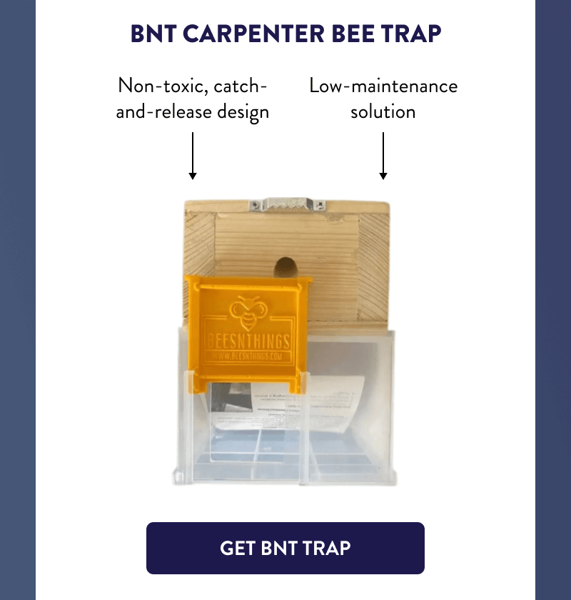 BNT Carpenter Bee Trap  ↷ Non-toxic, catch-and-release design ↷ Low-maintenance solution  [GET BNT TRAP]