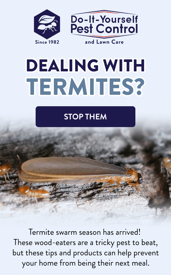 Dealing with Termites? [STOP THEM] Termite swarm season has arrived! These wood-eaters are a tricky pest to beat, but these tips and products can help prevent your home from being their next meal.